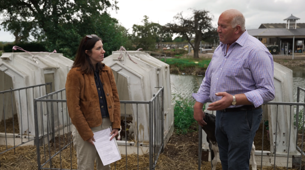 Interview with Ray from Bidlea Farm beside his field of cows